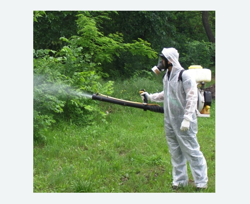 обработка дачи от клещей обработка территории от клещей в Снежинске