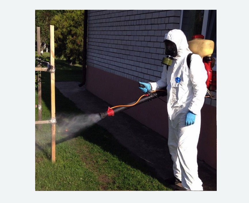 уничтожение клещей на участке травля клещей на участке в Снежинске