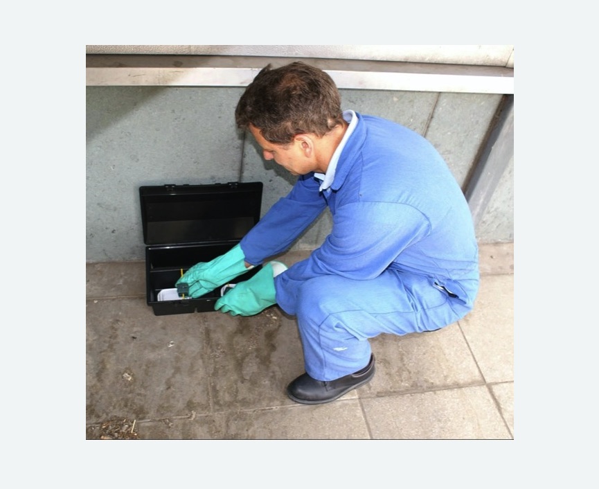 Уничтожение мышей в Снежинске Уничтожение мышей