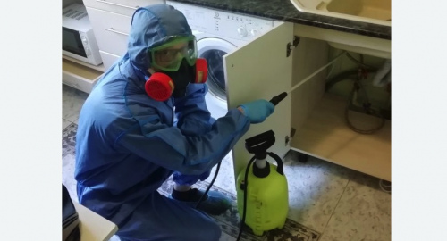 Уничтожение муравьев в квартире. Снежинск