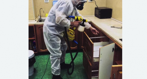Уничтожение насекомых в квартире. Снежинск