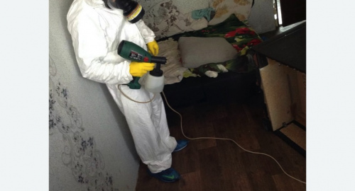 Обработка квартир от насекомых в Снежинске