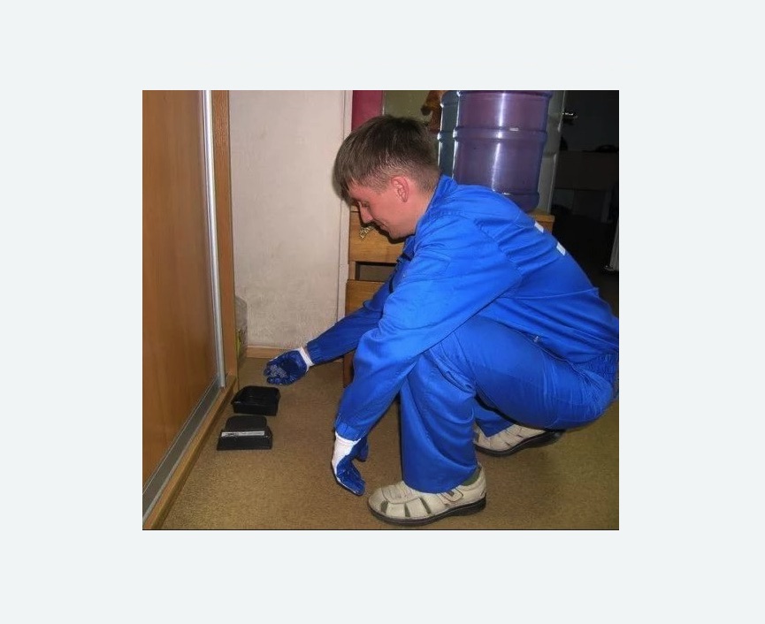 Дератизация крыс в Снежинске