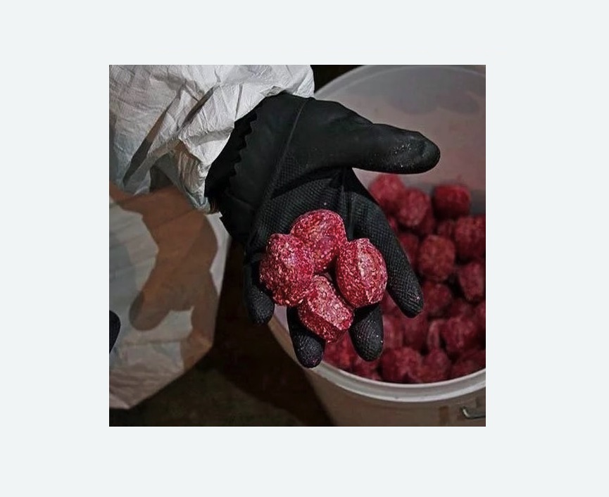 Обработка от крыс в Снежинске