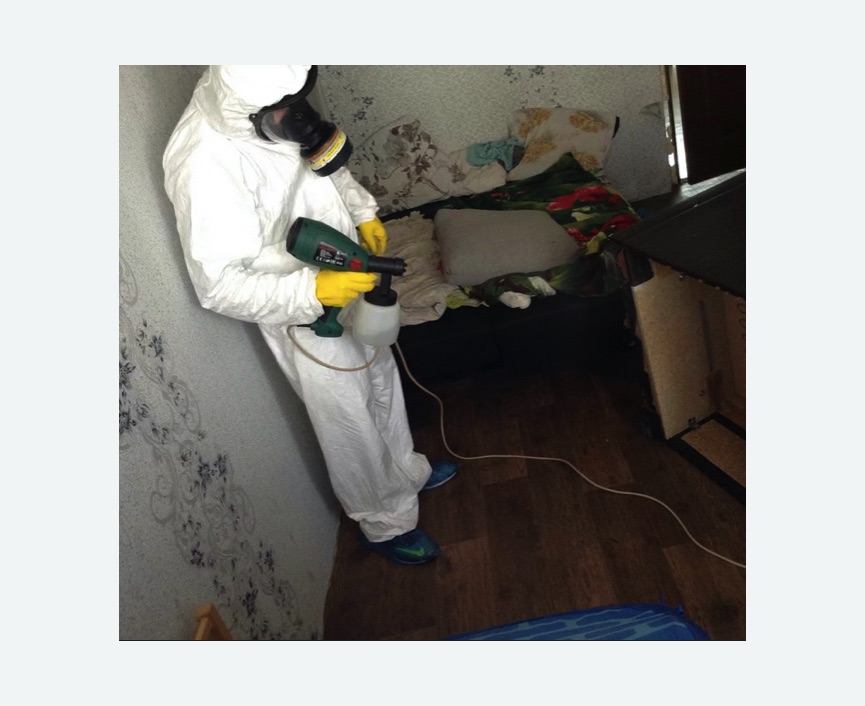 Обработка от насекомых в Снежинске Обработка квартиры от насекомых