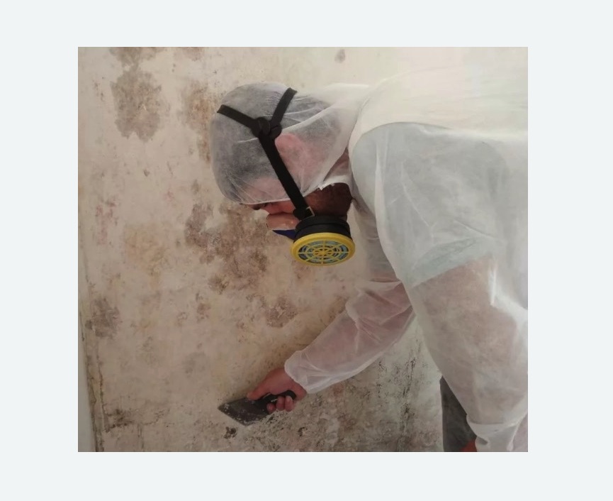 Обработка стен от плесени в Снежинске