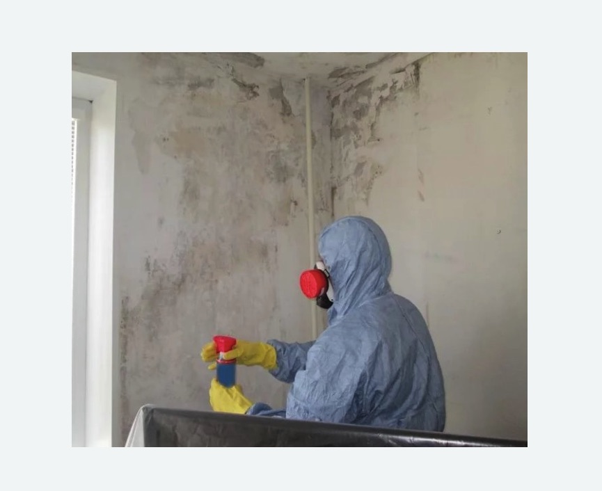 Удаление плесени в квартире в Снежинске