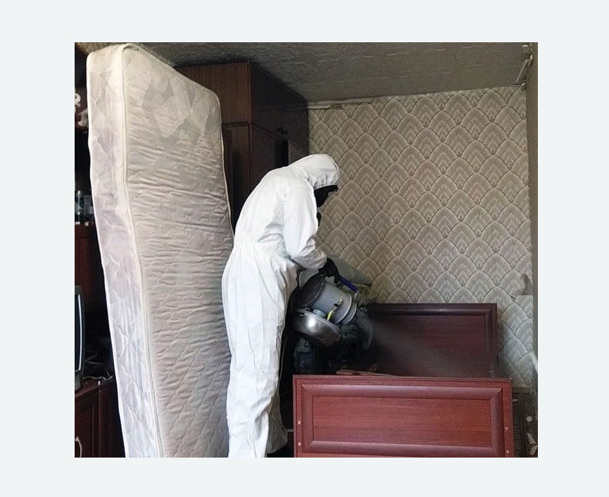 дезинфекция от клопов в Снежинске