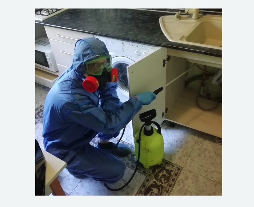 обработка от муравьев в квартире в Снежинске