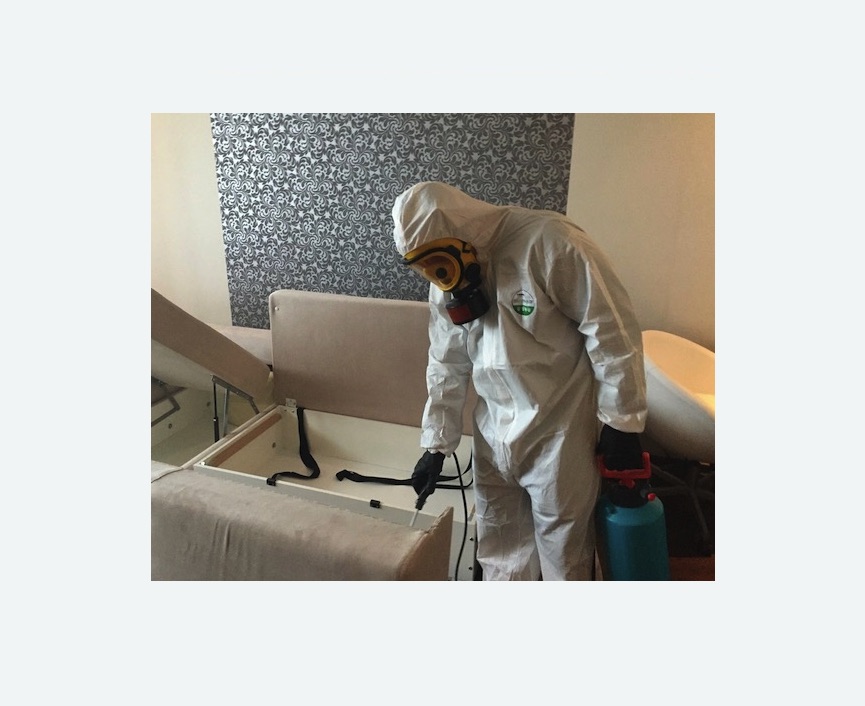 уничтожение клопов в квартире в Снежинске