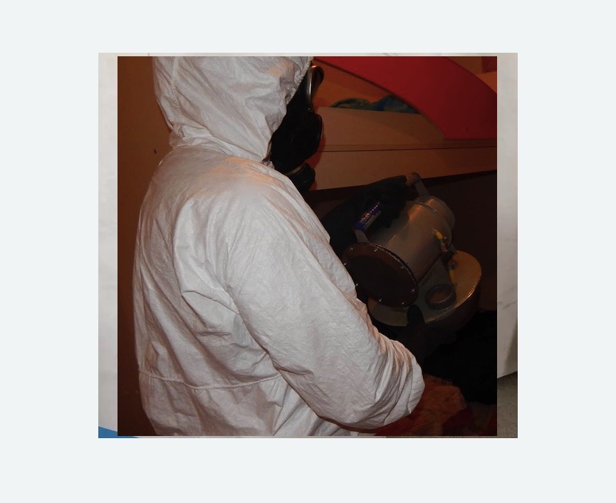 Дезинфекция от муравьев в Снежинске