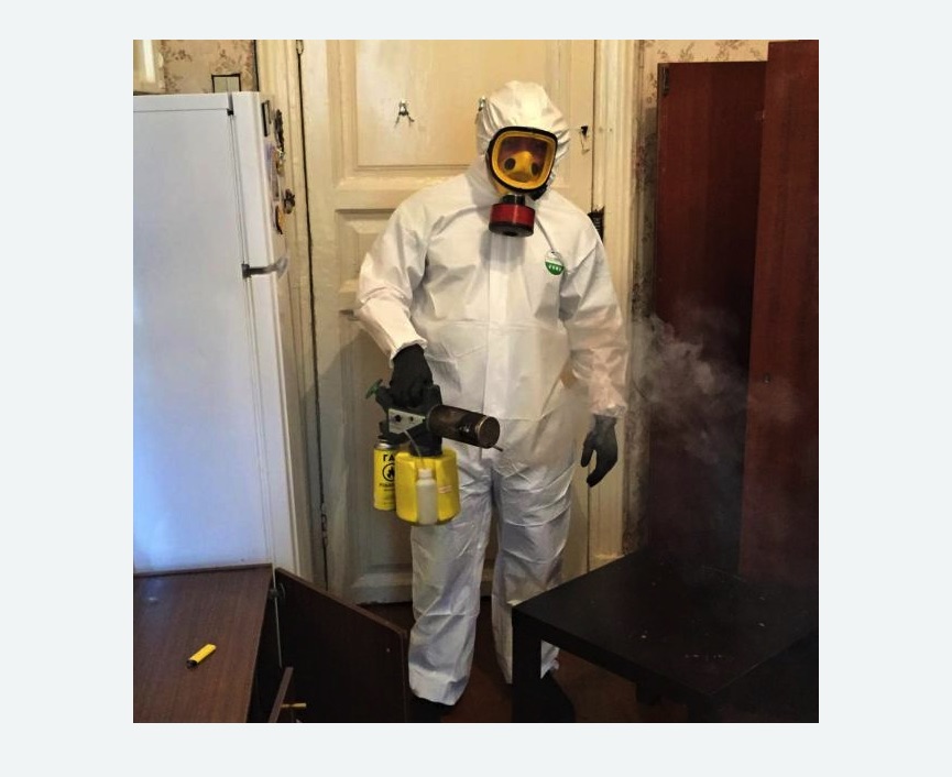 уничтожение муравьев в квартире в Снежинске